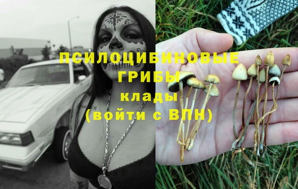COCAINE Вяземский