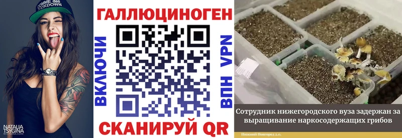Псилоцибиновые грибы прущие грибы  Лысково 